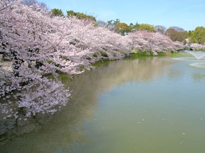 名古屋公園 名古屋，名古屋日本語學校，日本留學代辦推薦 日本遊學代辦 日本語言學校 日本留學展 台中YMCA 日本打工 打工度假 日本大學申請 日本研究所申請 日本就業 日本專門學校 2018日本留學 日本租屋 日本住宿 日本生活費用 日本留學費用 日本留學申請文件